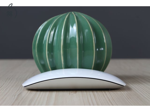 Magic Mouse 1 US-6758