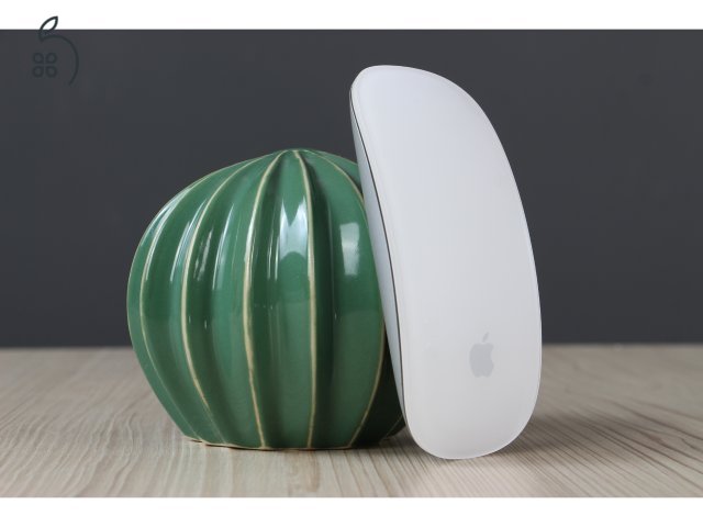 Magic Mouse 1 US-6758