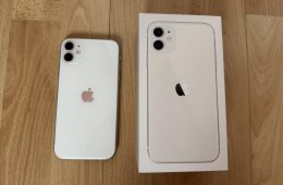 Apple 11 