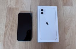 Apple 11 