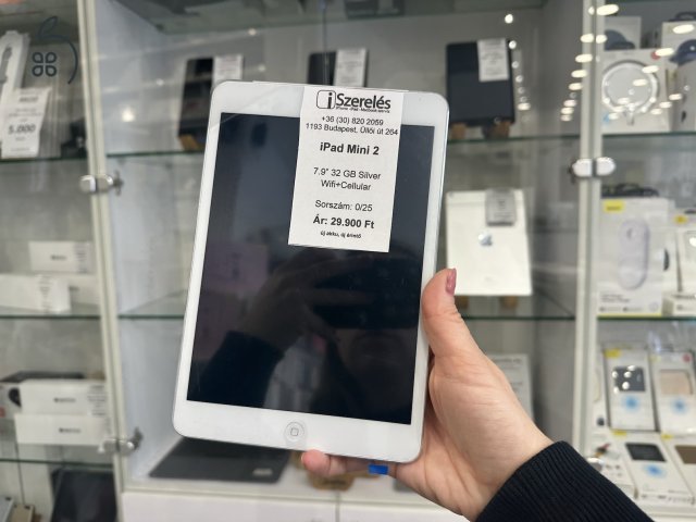 iPad Mini 2 7.9