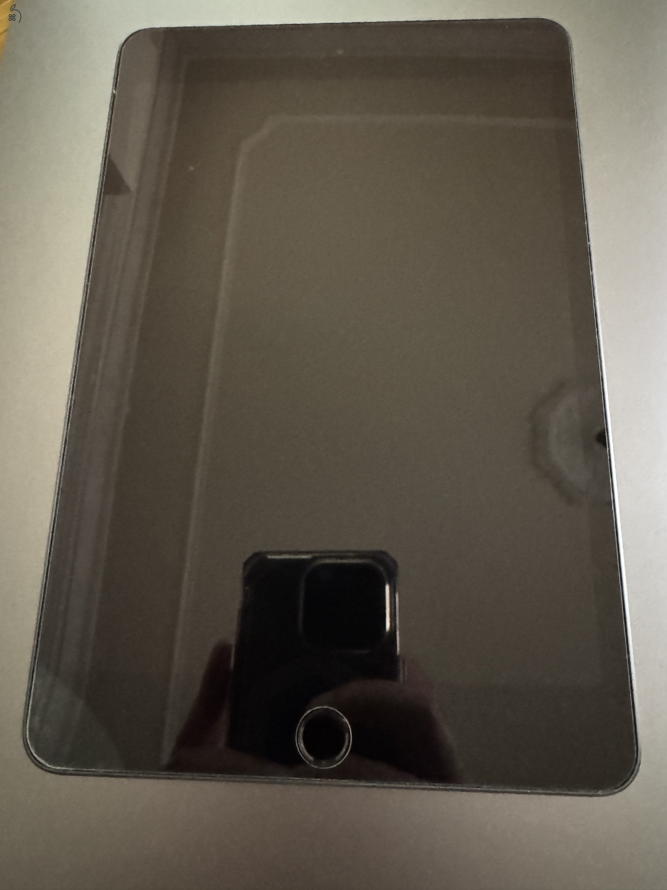 iPad mini 5 256GB