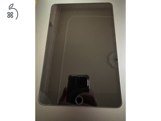 iPad mini 5 256GB