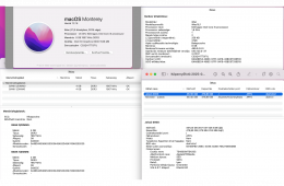 APPLE iMac / Late 2015 / 21.5