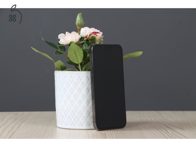 Apple iPhone 13 Pro 128GB Space Gray B US-6789