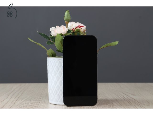 Apple iPhone 13 Pro 128GB Space Gray B US-6789