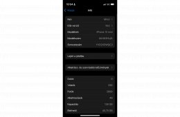 Apple iPhone 13 Mini Black 128 Gb 