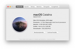 iMac 21,5