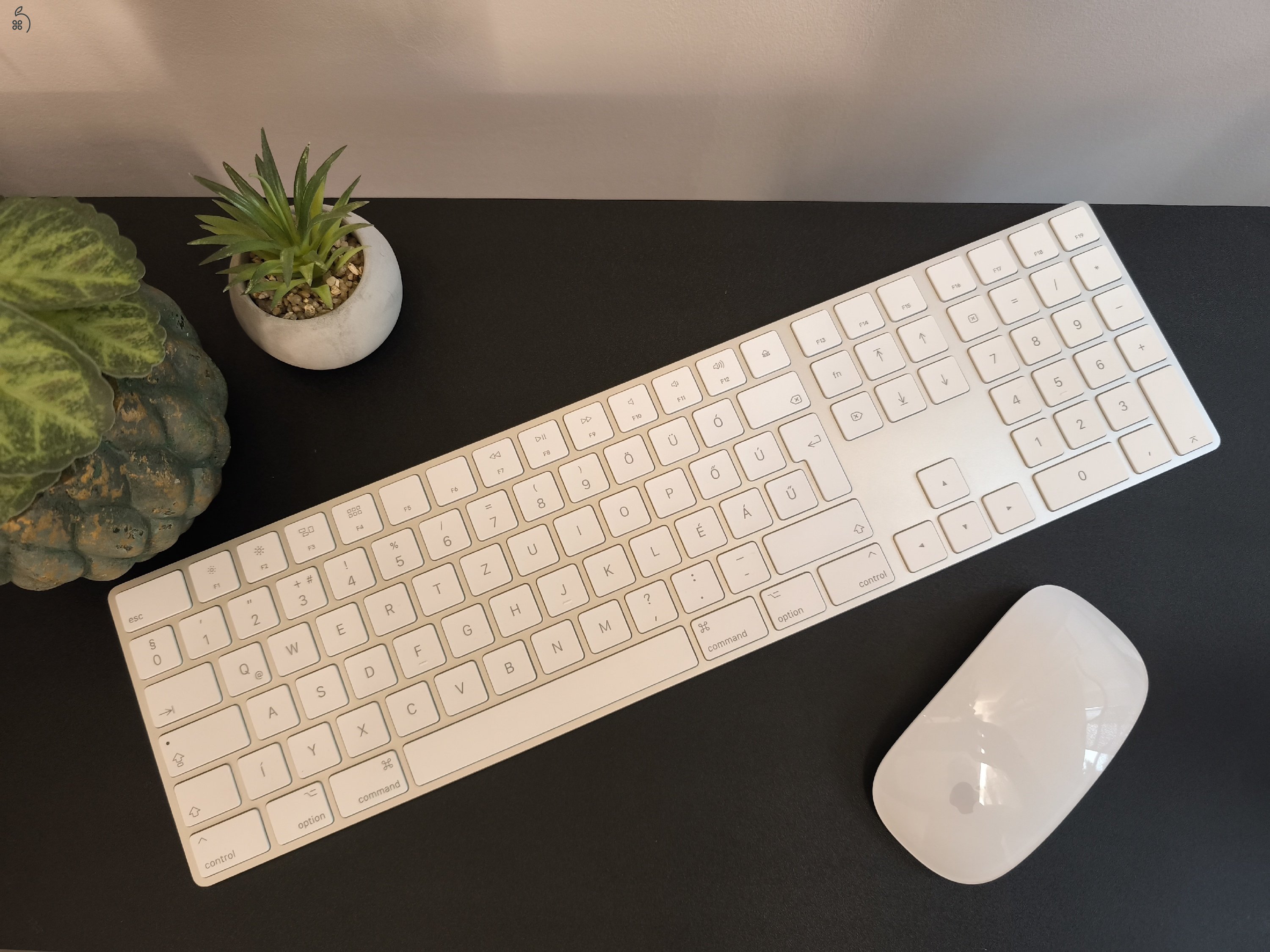 Apple Numeric Magic Keyboard - Magyar és Magic mouse 2. gen. 