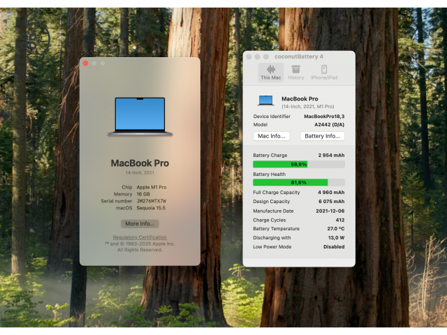 Apple MacBook Pro 2021 M1 14