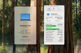 Apple MacBook Pro 2021 M1 14