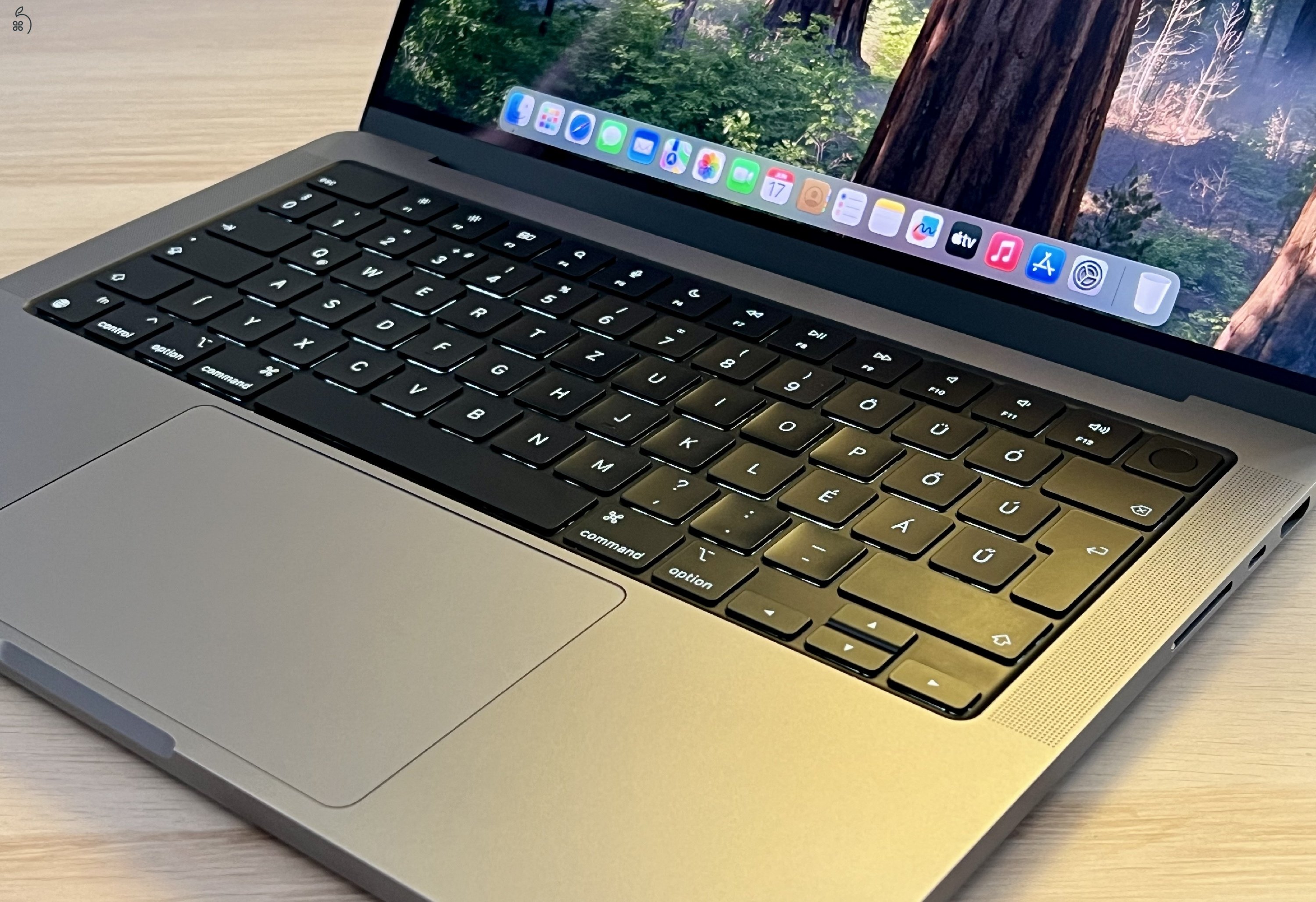 Apple MacBook Pro 2021 M1 14