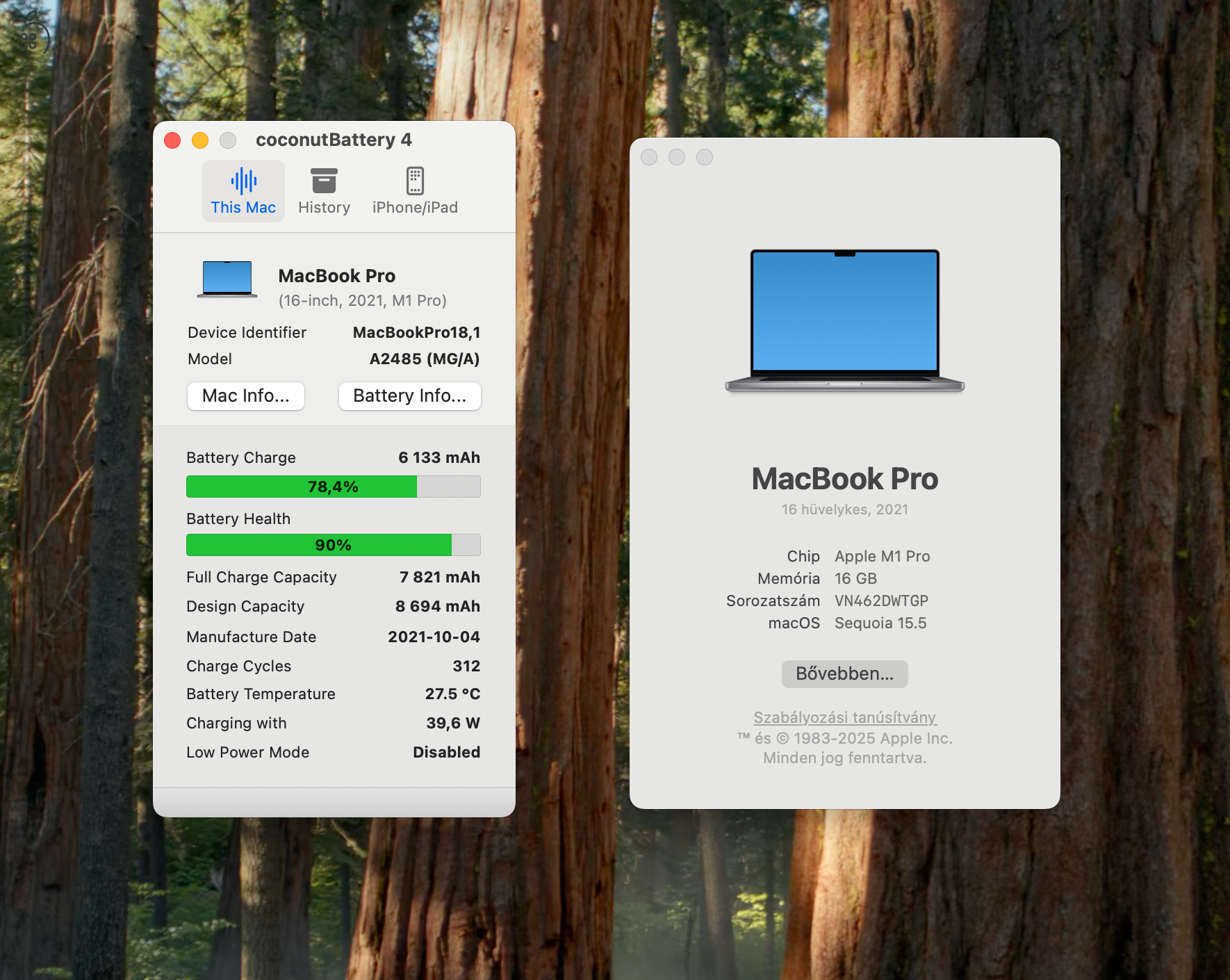 Apple MacBook Pro 2021 M1 Pro 16