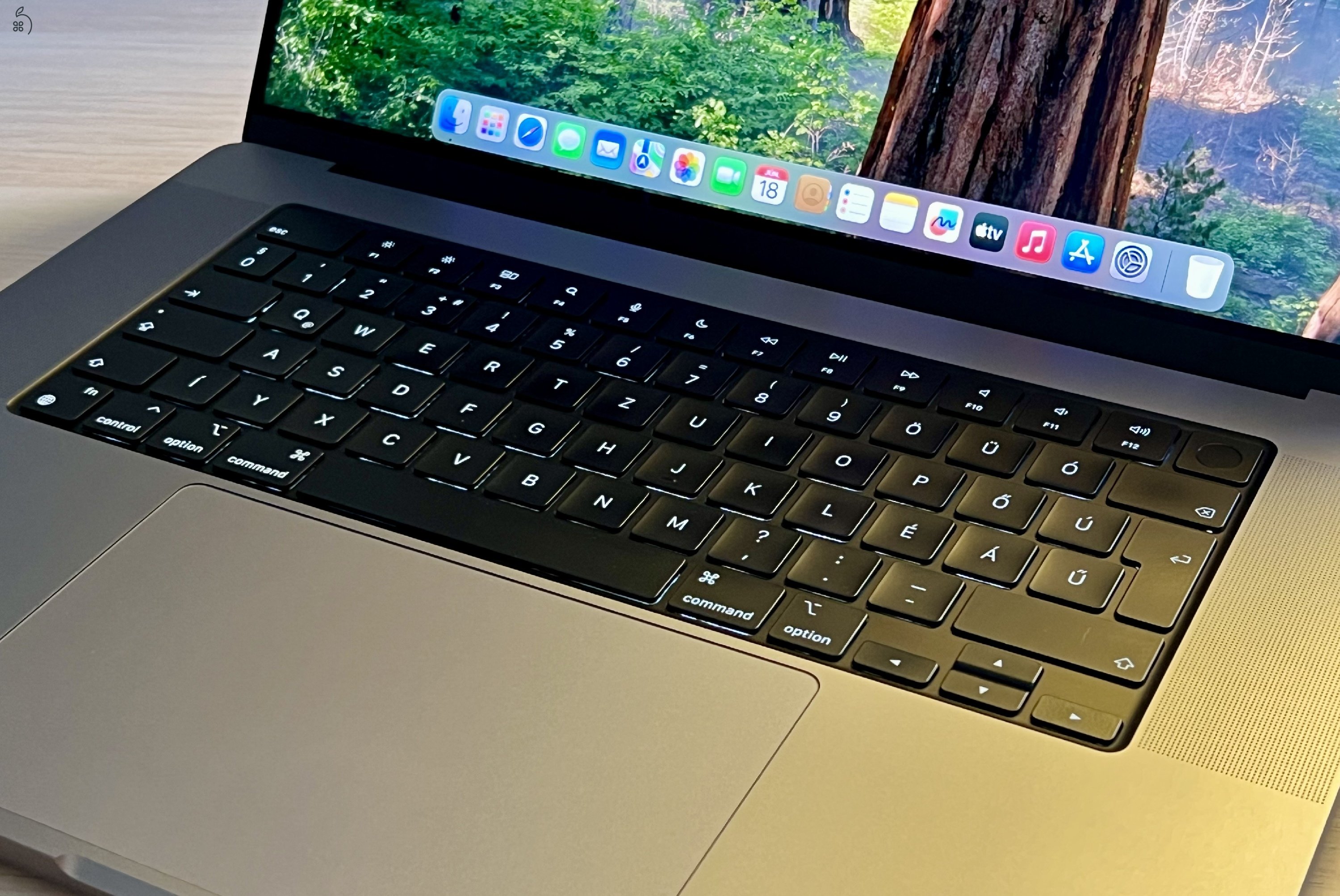 Apple MacBook Pro 2021 M1 Pro 16