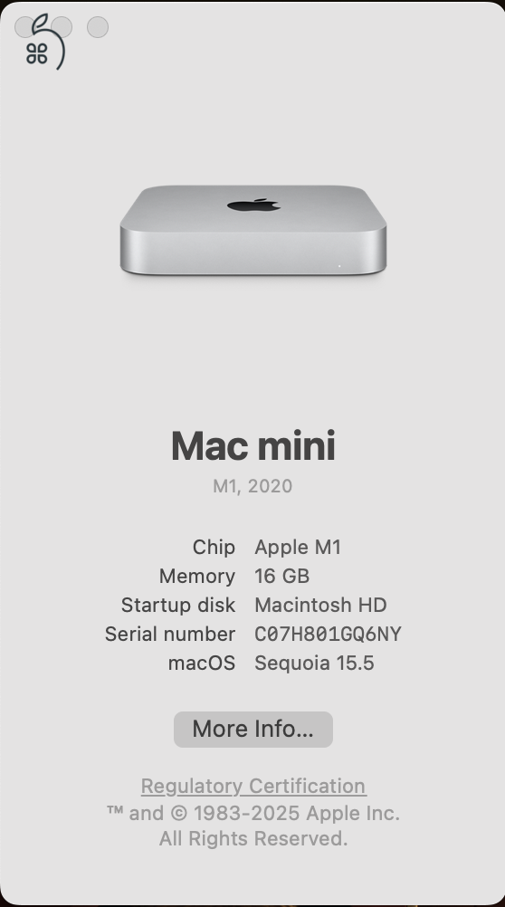 M1 Mac Mini 16 GB RAM