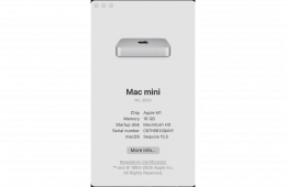 M1 Mac Mini 16 GB RAM