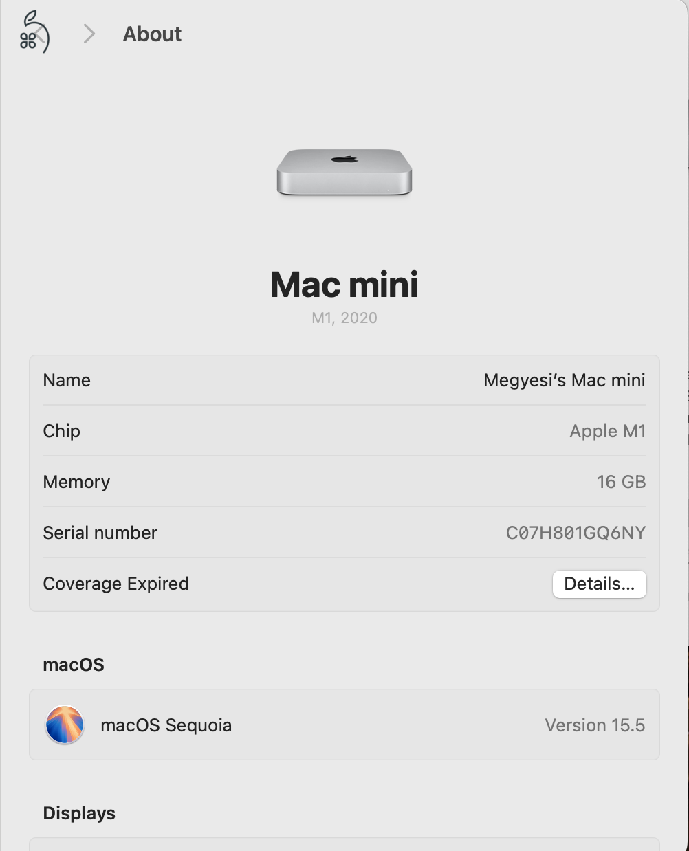 M1 Mac Mini 16 GB RAM