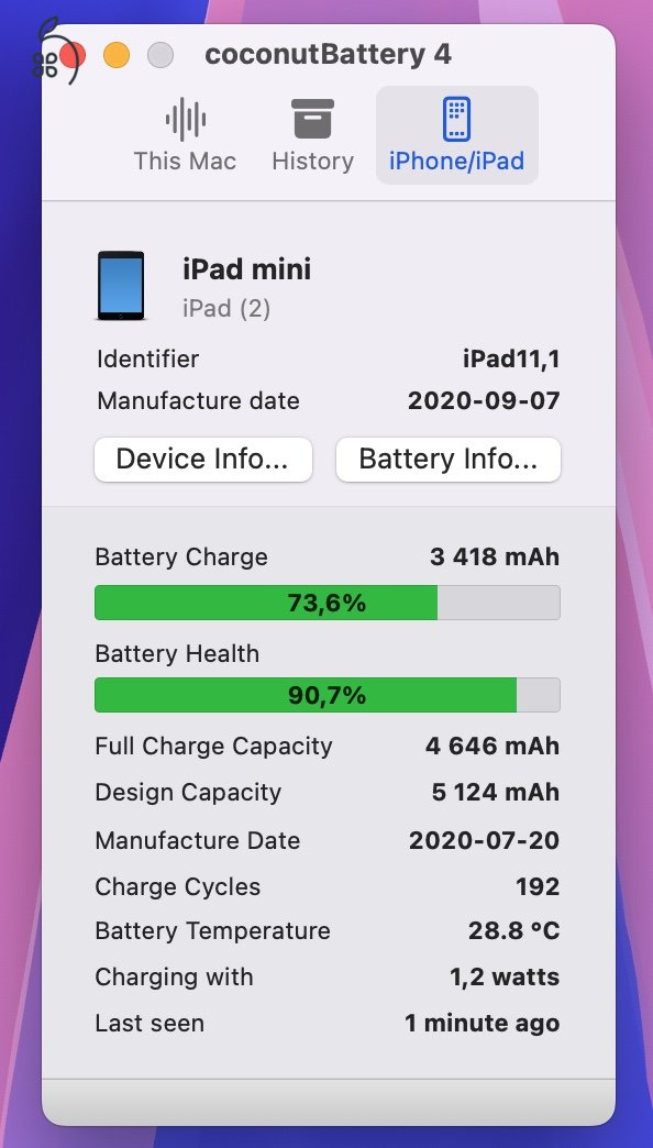 iPad mini 5 64GB wifi garis, akku 90%