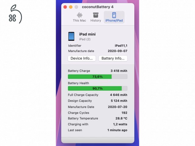 iPad mini 5 64GB wifi garis, akku 90%