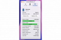 iPad mini 5 64GB wifi garis, akku 90%