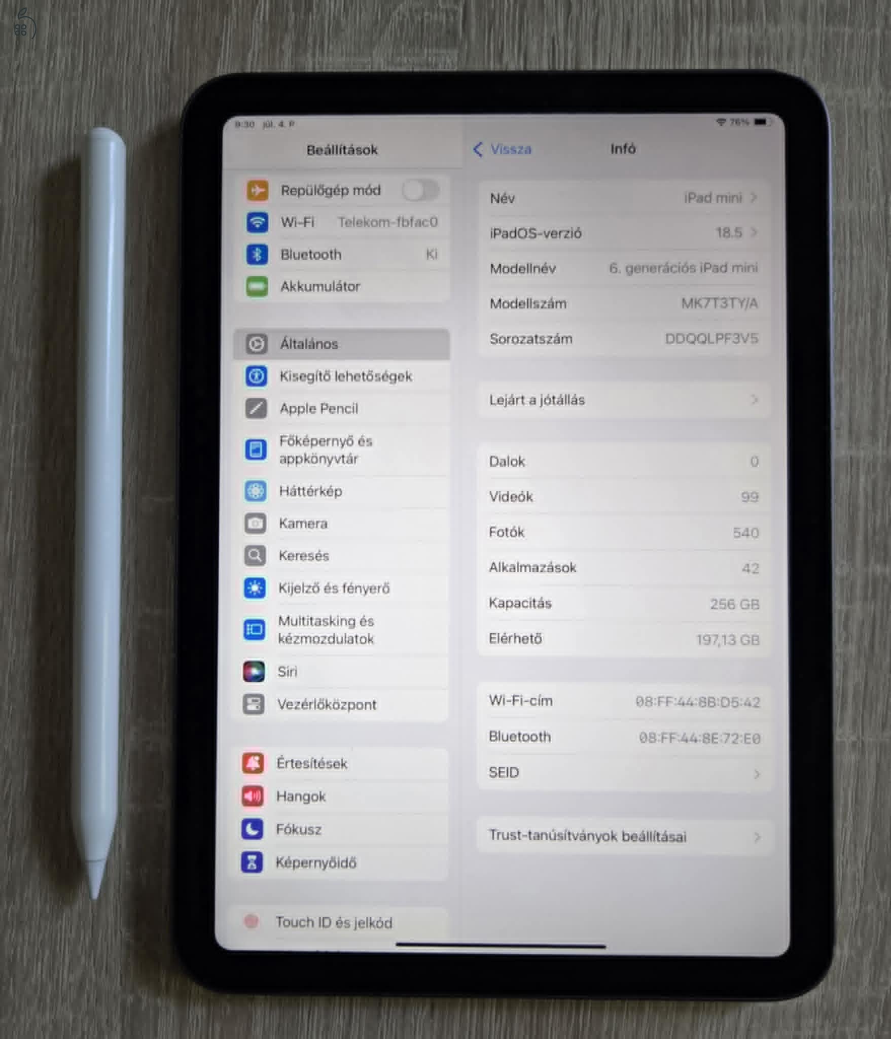 Ipad Mini 6 256GB