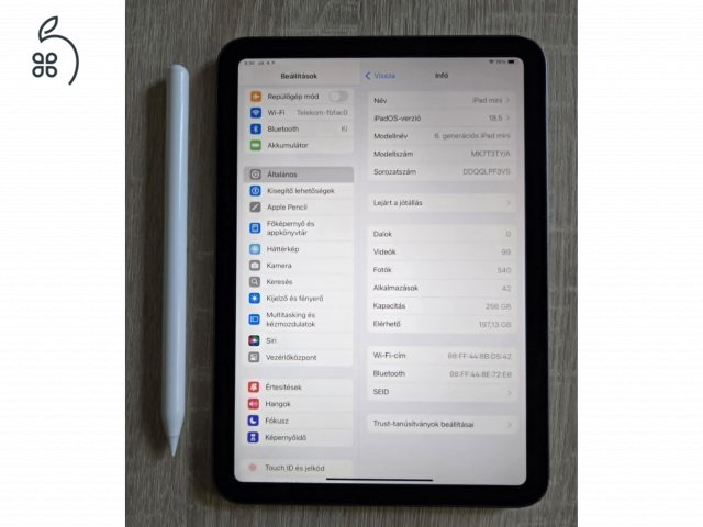Ipad Mini 6 256GB