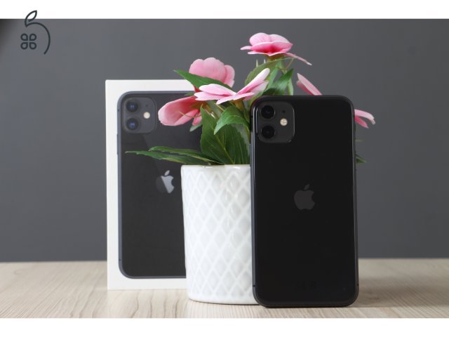 Apple iPhone 11 64GB Black B US-6874