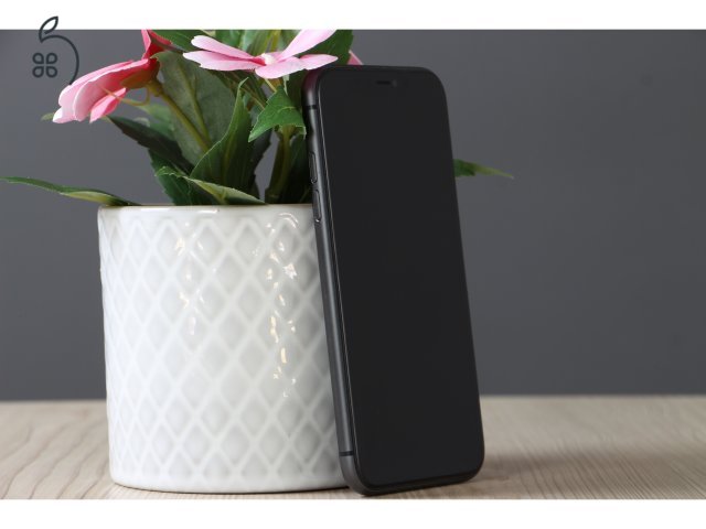 Apple iPhone 11 64GB Black B US-6874