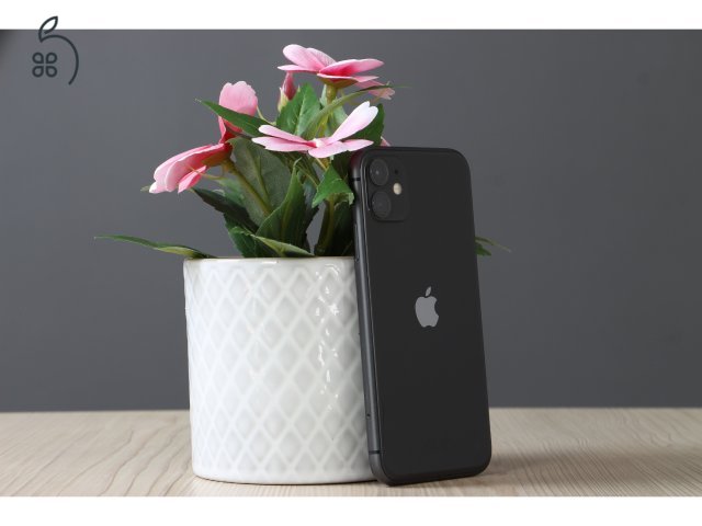 Apple iPhone 11 64GB Black B US-6874