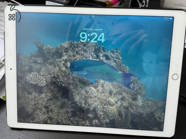 iPad pro 12.9 1st gen