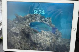 iPad pro 12.9 1st gen