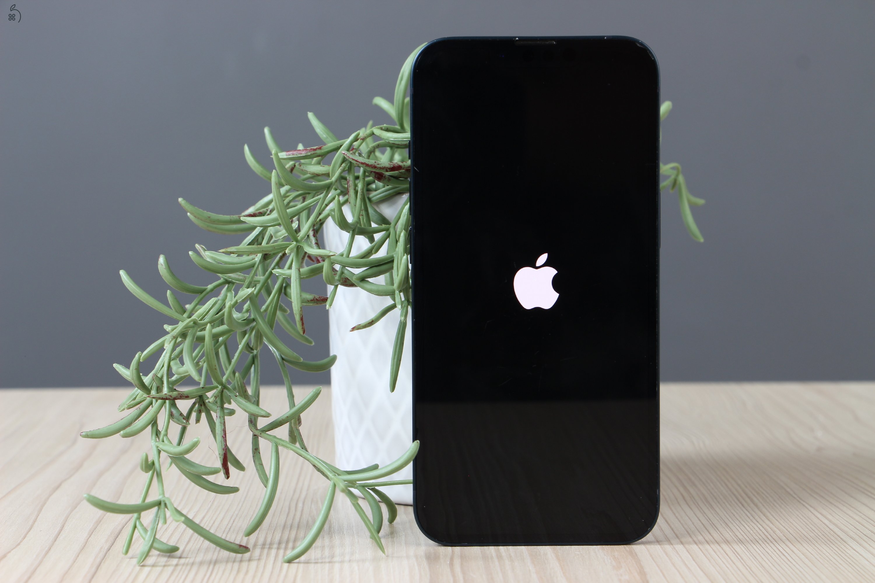 Apple iPhone 13 128GB Black B US-6918