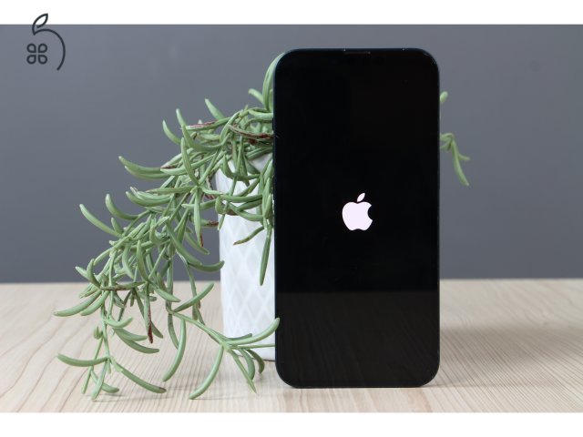 Apple iPhone 13 128GB Black B US-6918