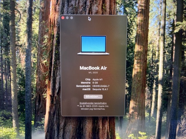 MacBook Air M1