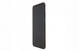 Apple iPhone 11 Pro Max 64 GB Space Gray 100%
