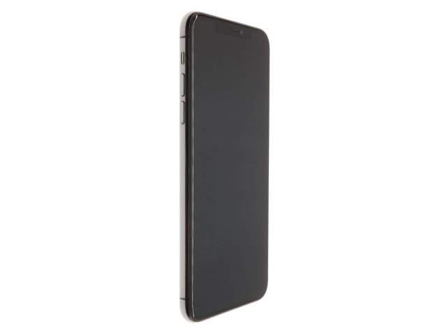 Apple iPhone 11 Pro Max 64 GB Space Gray 100%