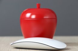 Apple Magic Mouse 2 B US-6981