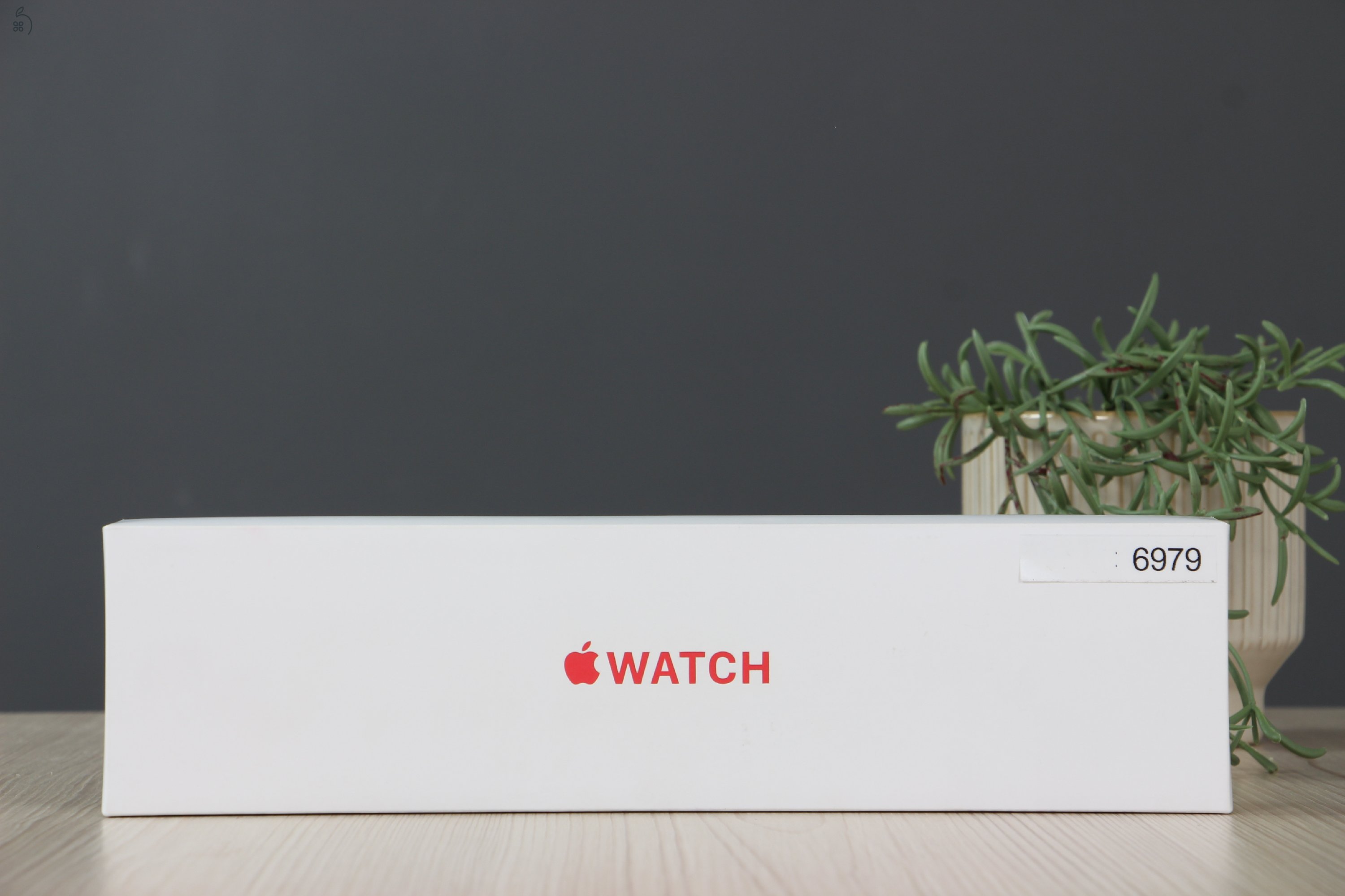 Apple Watch Series 6 40mm Cellular B US-6979