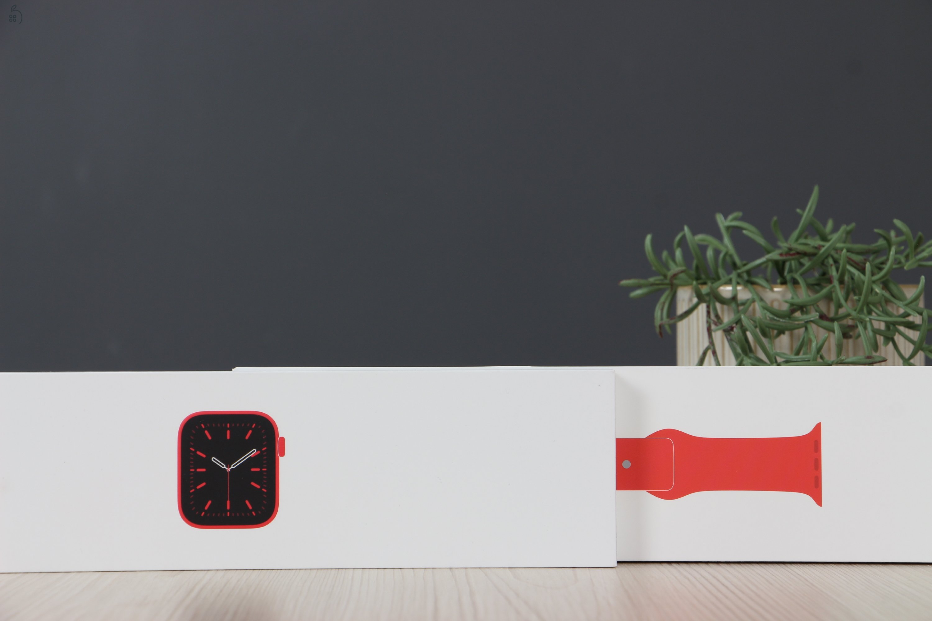 Apple Watch Series 6 40mm Cellular B US-6979