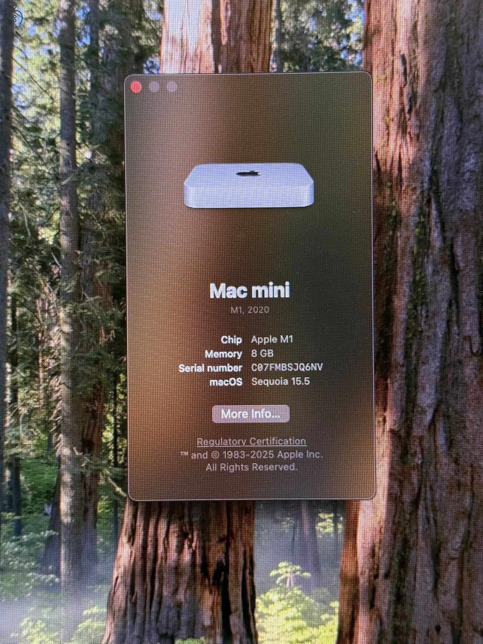 Mac mini M1 8/256GB
