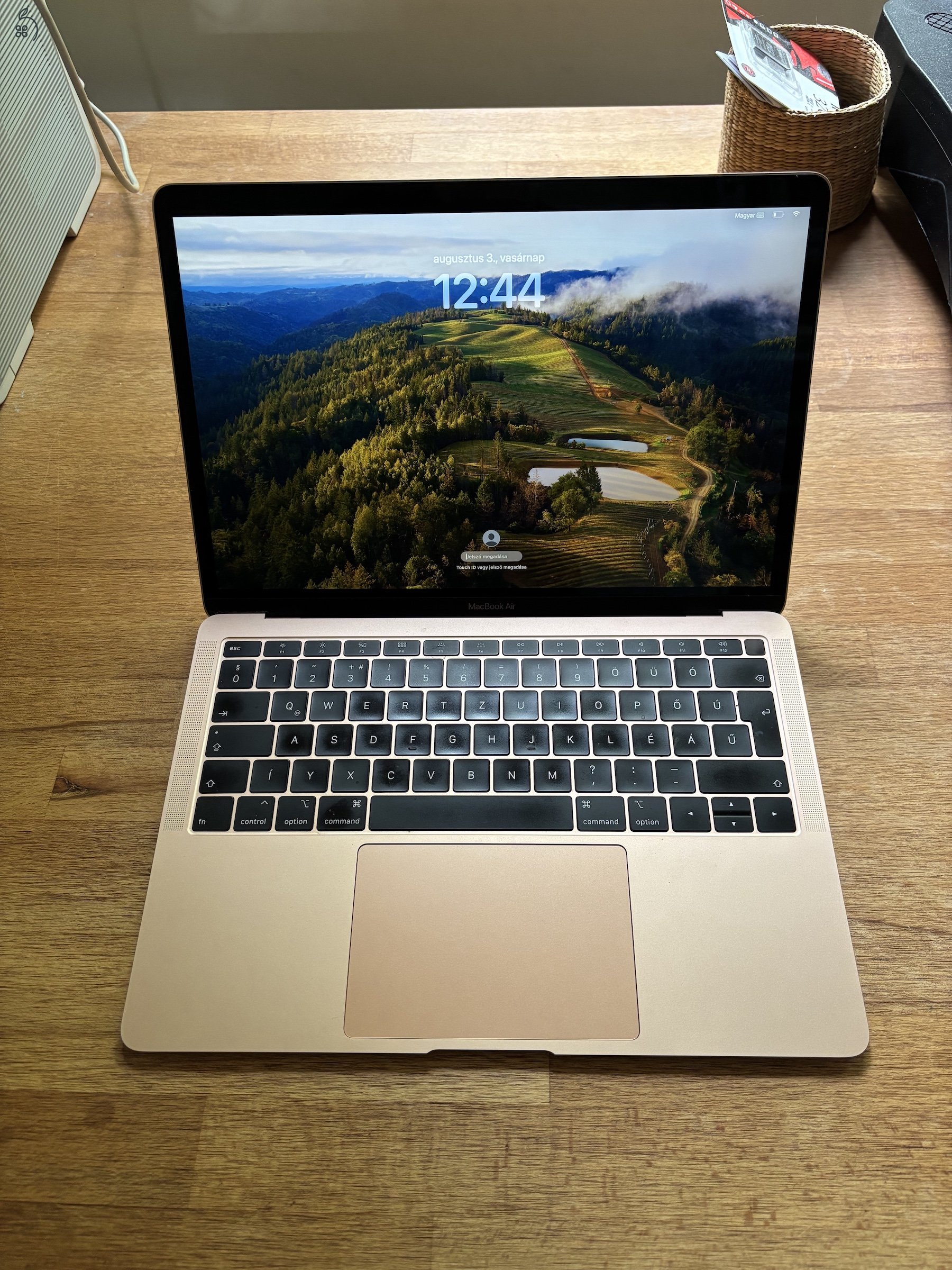 Rosegold MacBookAir 13