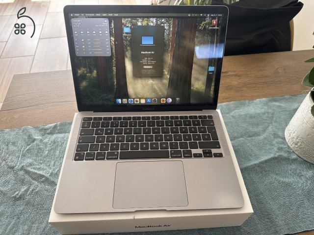 256/8GB