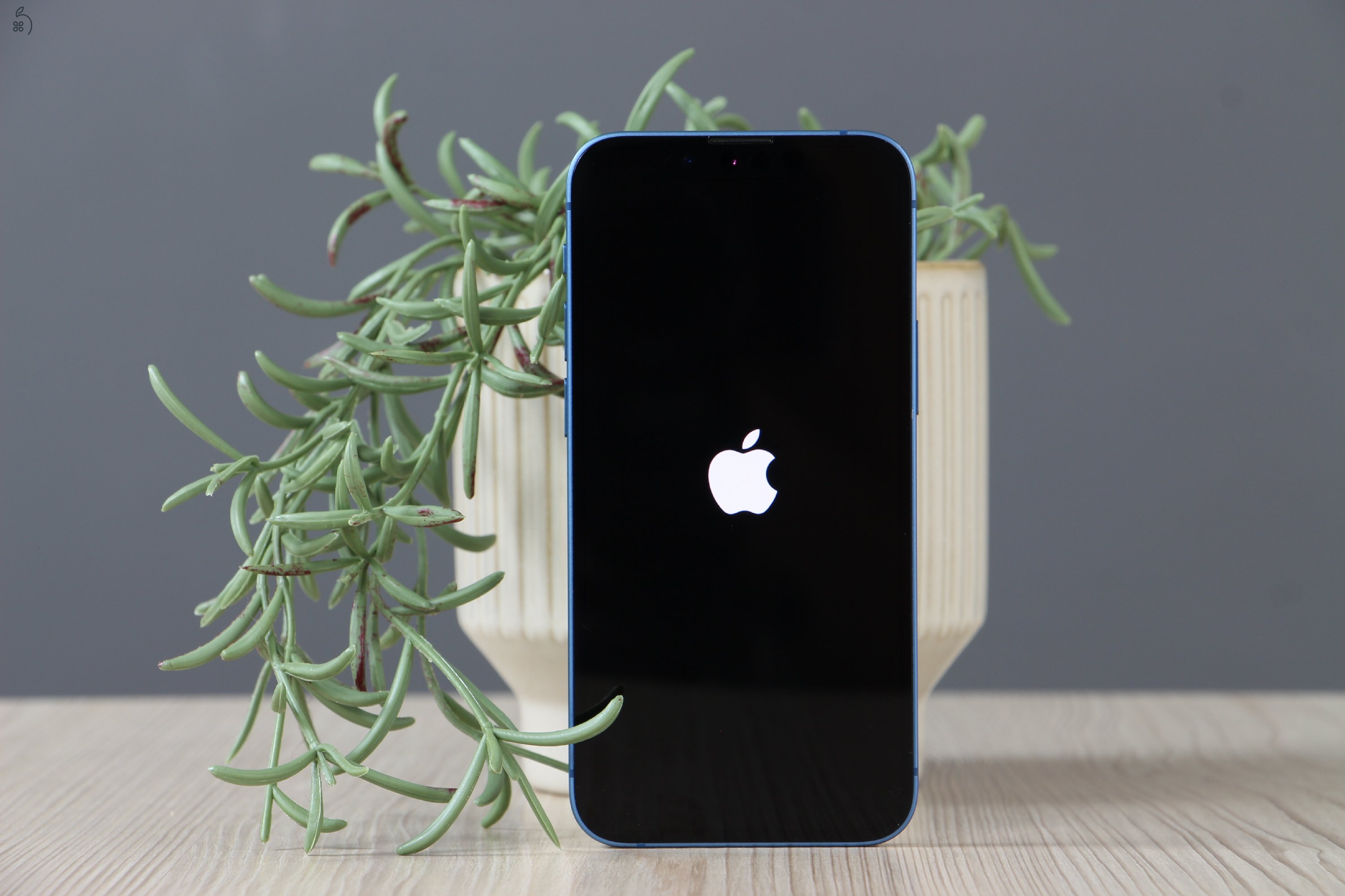 Apple iPhone 13 Mini 256GB Blue A US-6978