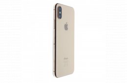 Apple iPhone XS 64 GB Gold 100%