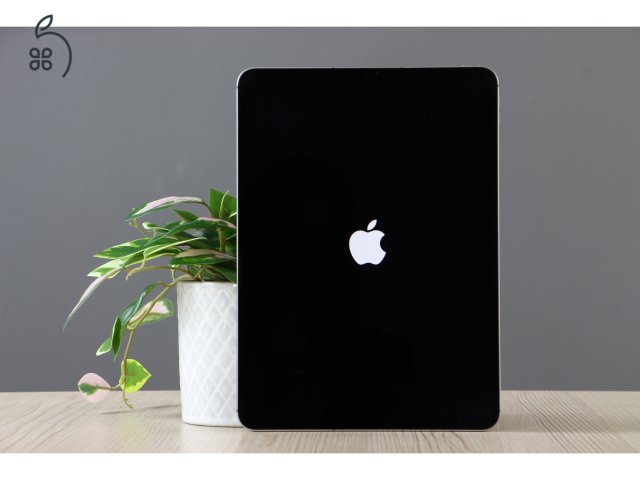 Apple iPad Pro 11