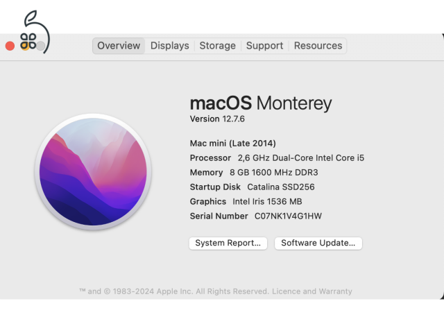 Mac mini (Late 2014) - 8GB RAM, 256 GB SSD, 1 TB HDD