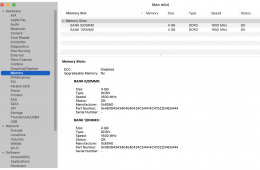 Mac mini (Late 2014) - 8GB RAM, 256 GB SSD, 1 TB HDD