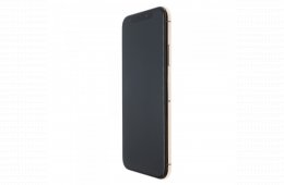 Apple iPhone XS 64 GB Gold 100%