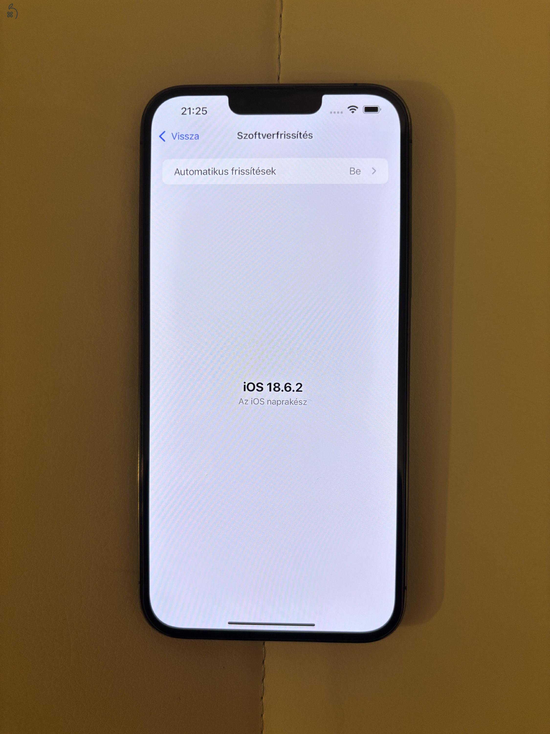 iPhone 13 Pro Max. 256 GB