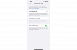 Iphone 13 Pro Max 256GB